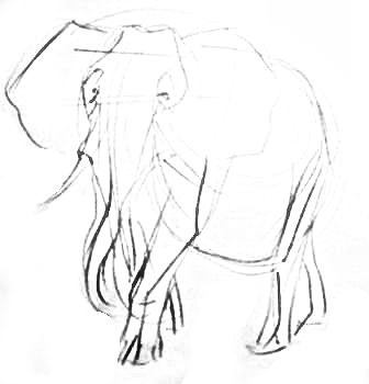 Рисуем африканского слона