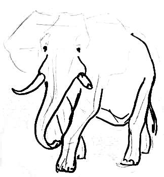Нарисуем африканского слона