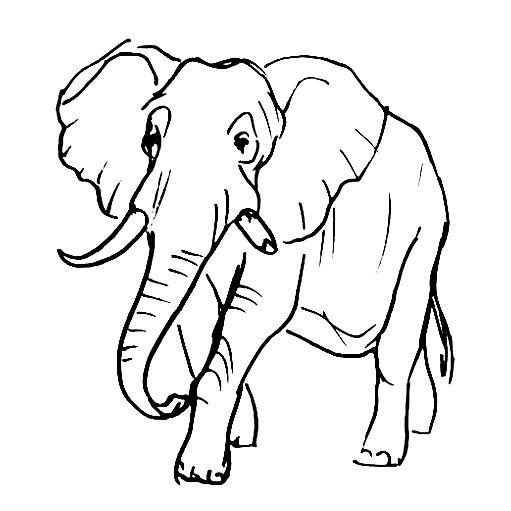 Рисунок -африканский слон