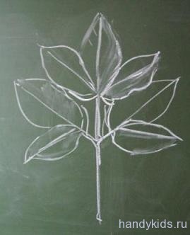  Рисунок листа растения