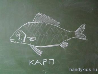  Рисунок рыбы - Карп