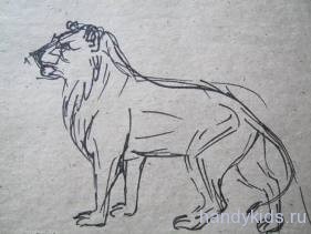  Как рисовать льва