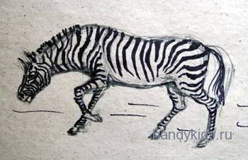 handykidslessons zebra 006