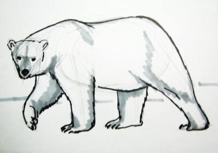 Белый медведь рисунокКак нарисовать белого полярного медведя.