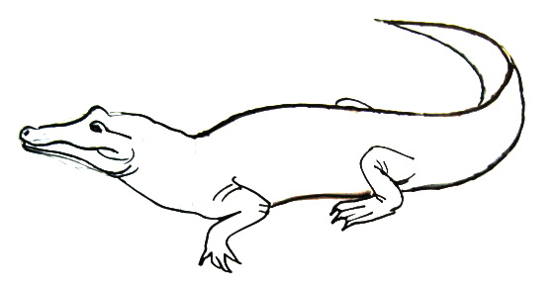 Рисунок крокодил