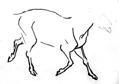 Поэтапный рисунок барана