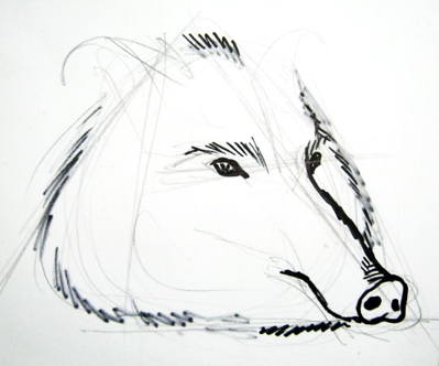 Поэтапный рисунок головы кабана