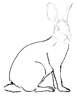 Рисуем сидящего зайца поэтапно