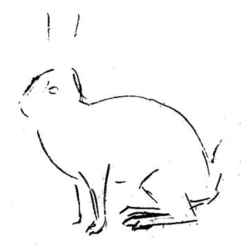 Урок поэтапного рисования зайца.