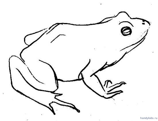 Рисунок лягушка
