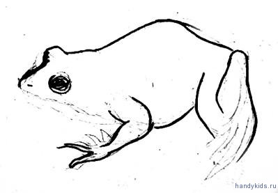 Поэтапный рисунок лягушки