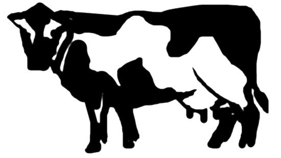 Рисунок Корова