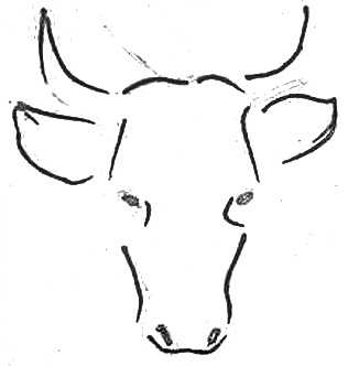 Как нарисовать голову быка