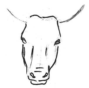 Рисуем голову коровы поэтапно