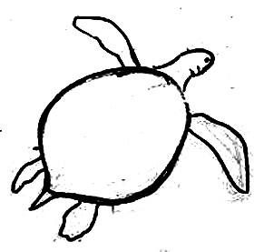 Рисуем морскую черепаху