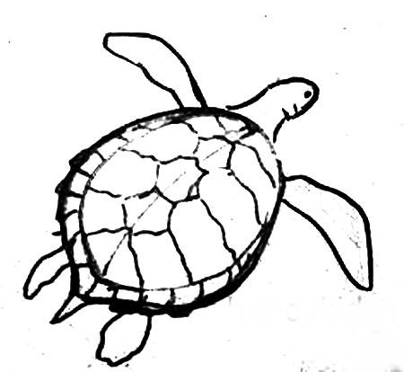 Рисунок Морская черепаха