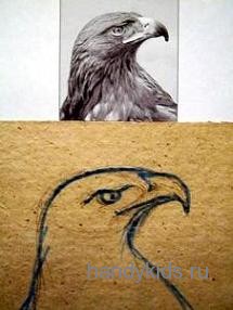 Рисуем голову орла поэтапно