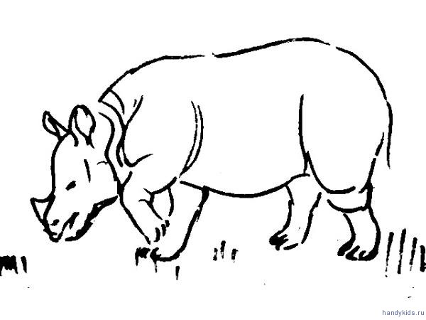 Рисунок Носорог