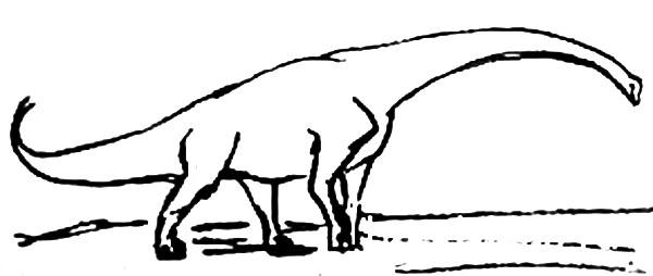 Брахиозавр -рисунок 13