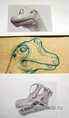  Голова брахиозавра