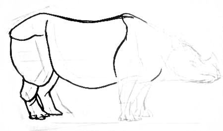 Урок рисования индийского носорога