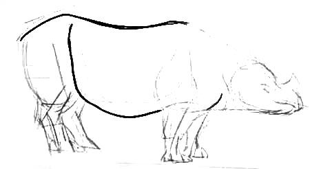 Урок рисования носорога