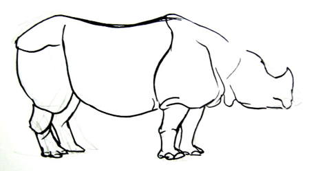 Рисуем носорога поэтапно.