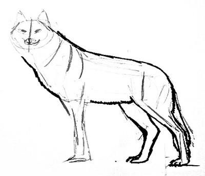 Урок рисования волка