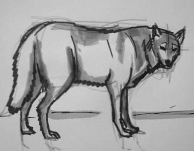 Серый волк рисунок