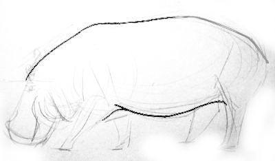 Рисуем бегемота -туловище