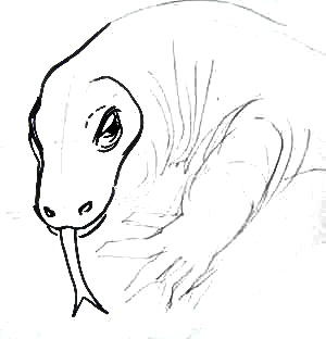 Комодский дракон -рисунок головы