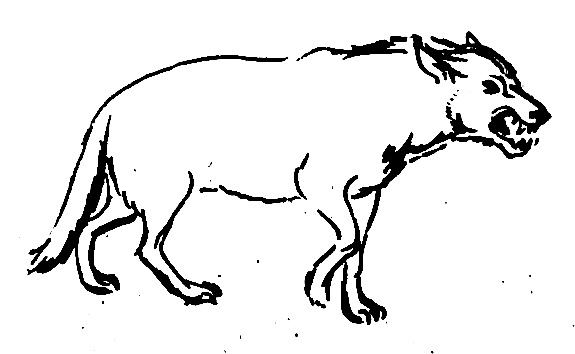 Рисунок волк