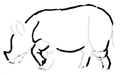Нарисуем носорога реалистически