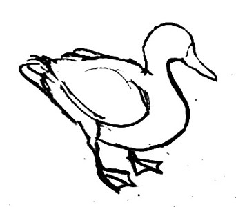 Урок поэтапного рисования утки