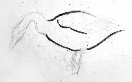 Поэтапный рисунок гуся