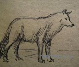   Рисунок -волк