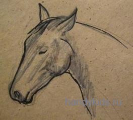   Рисуем лошадь поэтапно