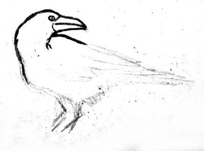 Рисуем ворона