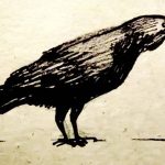 Как нарисовать ворона (а не ворону)
