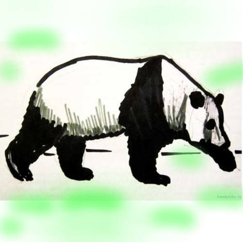 Панда рисунок в цвете