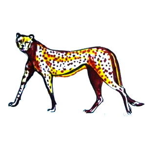 Рисунок гепард