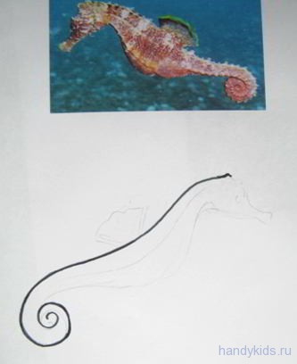 Рисуем морского конька
