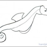 Как нарисовать морского конька и раскраска Морской Конёк