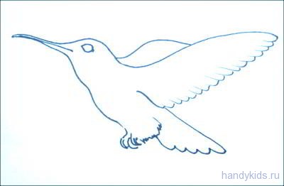 Рисуем колибри