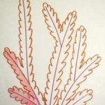  Раскраски водоросли