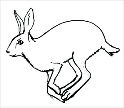 Скачущий заяц рисунок