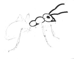 Рисуем чёрного муравья