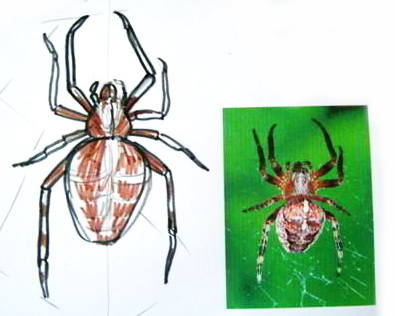 Рисунок паук