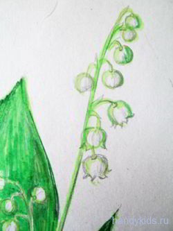 Рисуем цветы ландыши поэтапно карандашом
