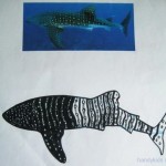 shark 002
